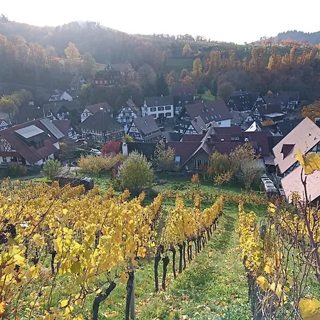 Lägenhet Haensel Und Gretel